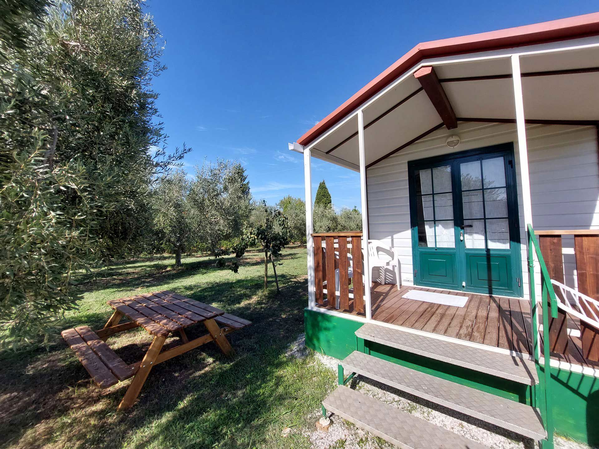 Mobile Homes 1