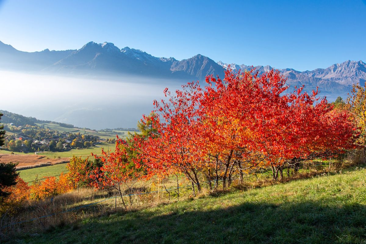 Autunno in Valle d’Aosta: eventi, sapori e colori delle Alpi 1