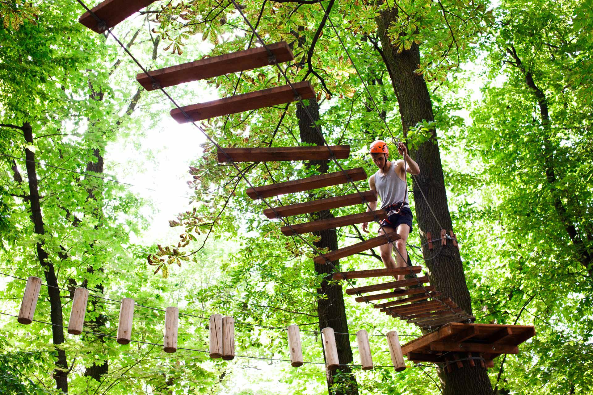 Surroundings 6