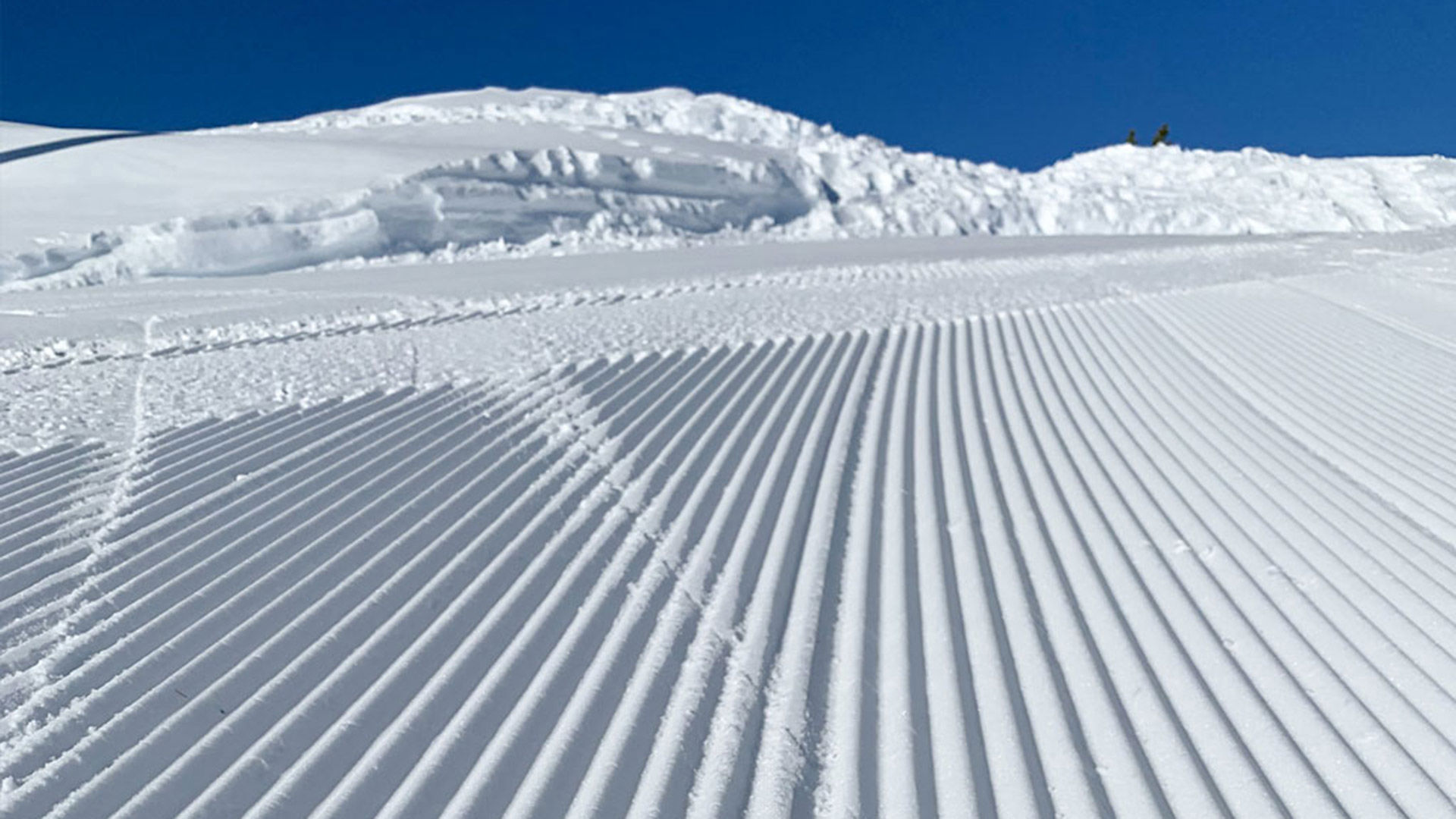 Ski Service 5
