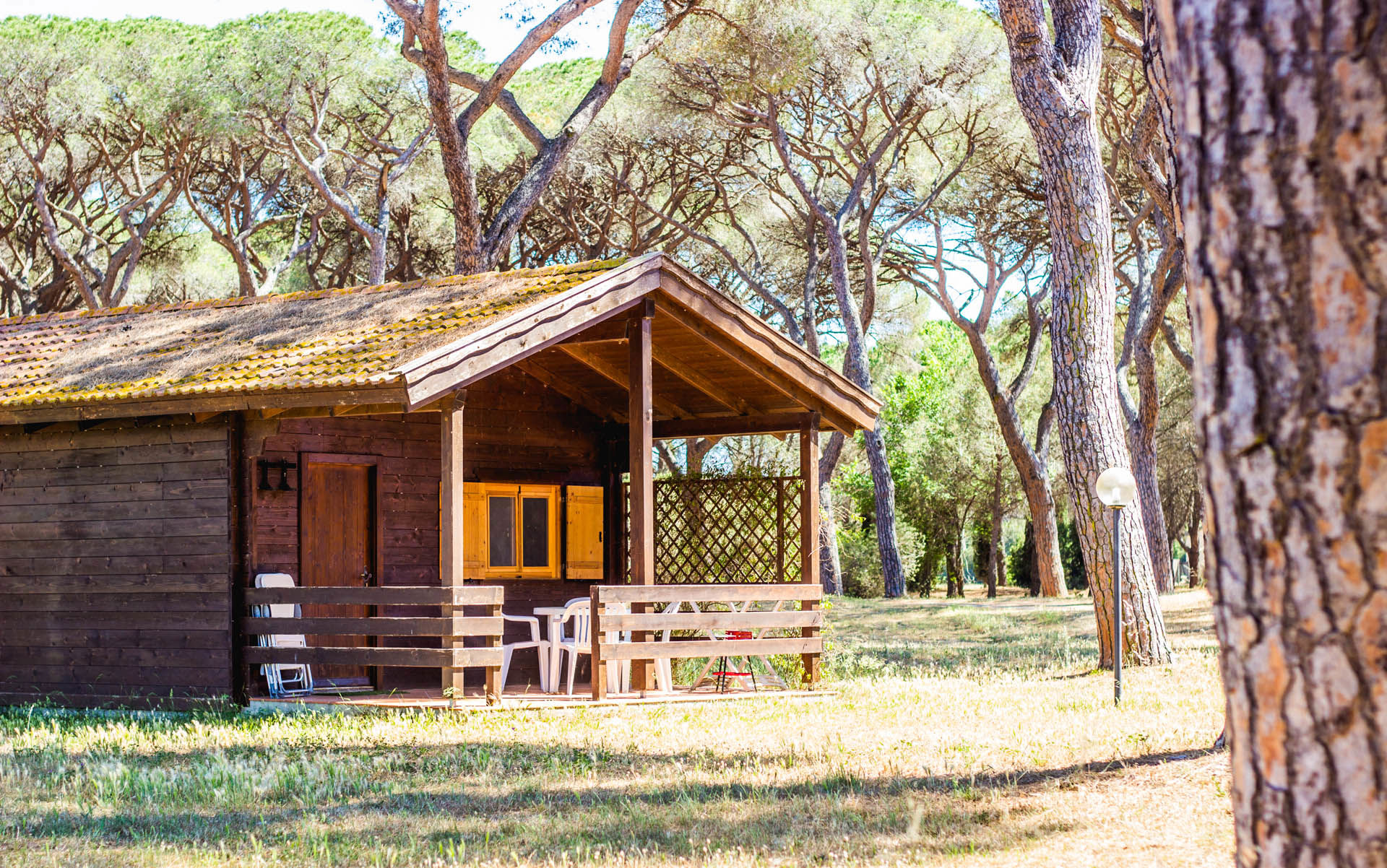 Tuscania Hotel Group 6