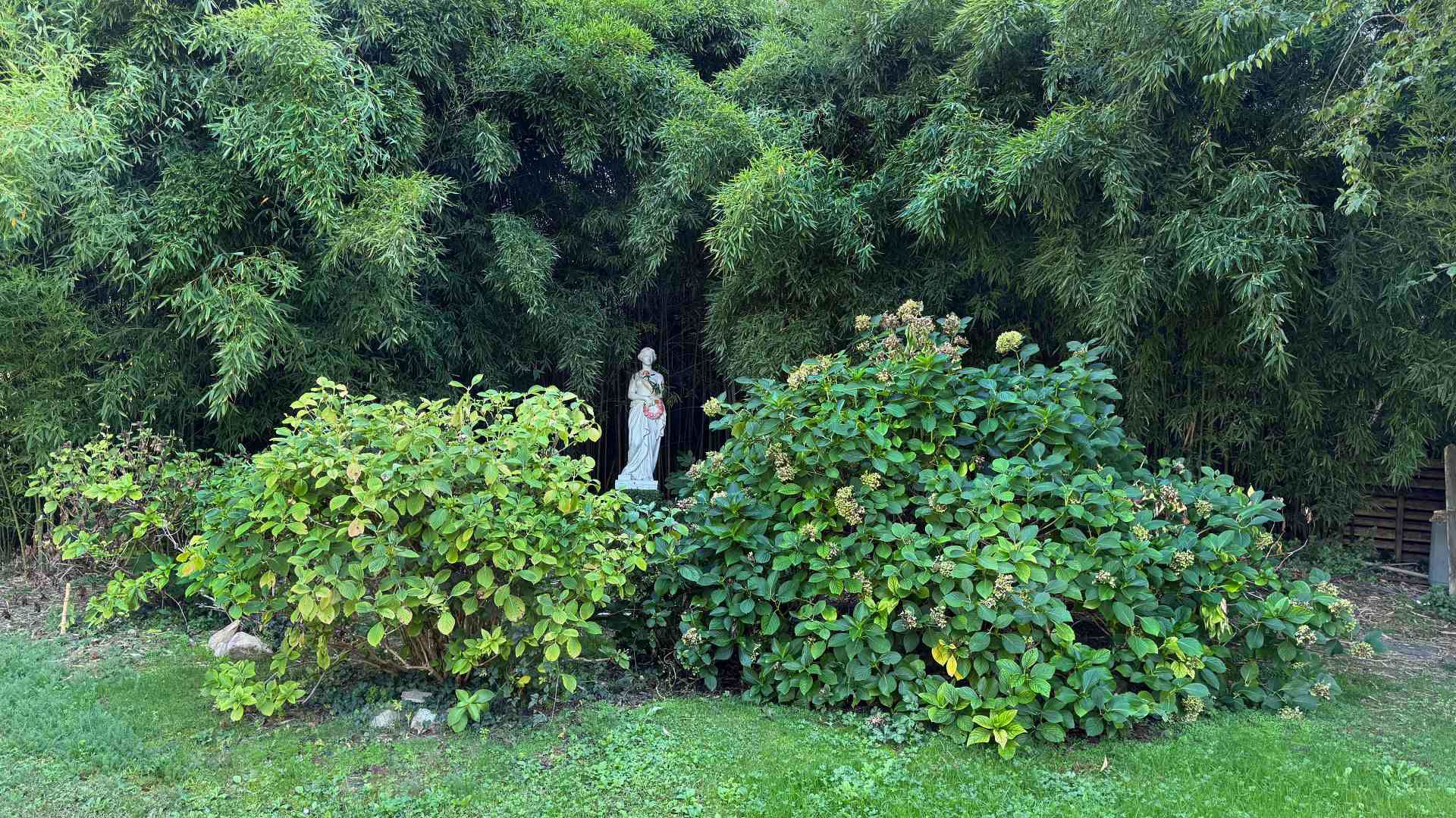 Il Parco 4