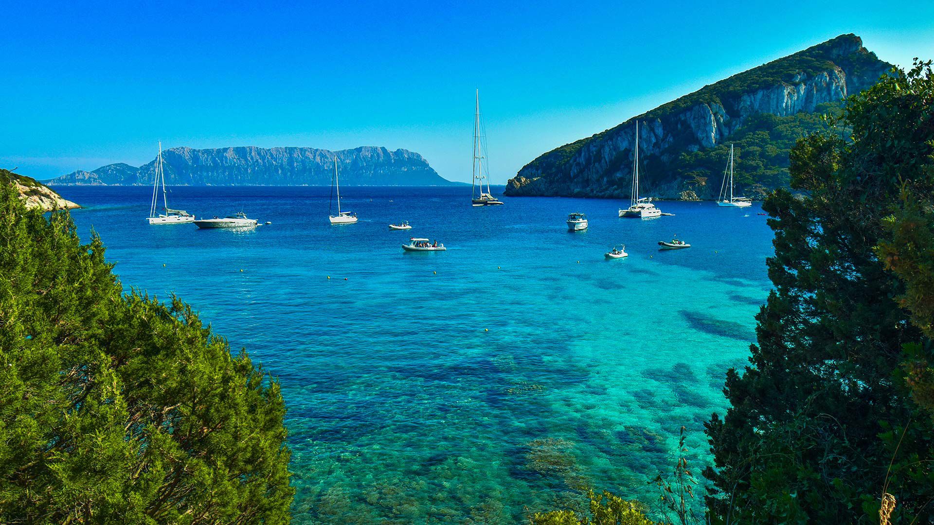 Hotel Villa Margherita 9