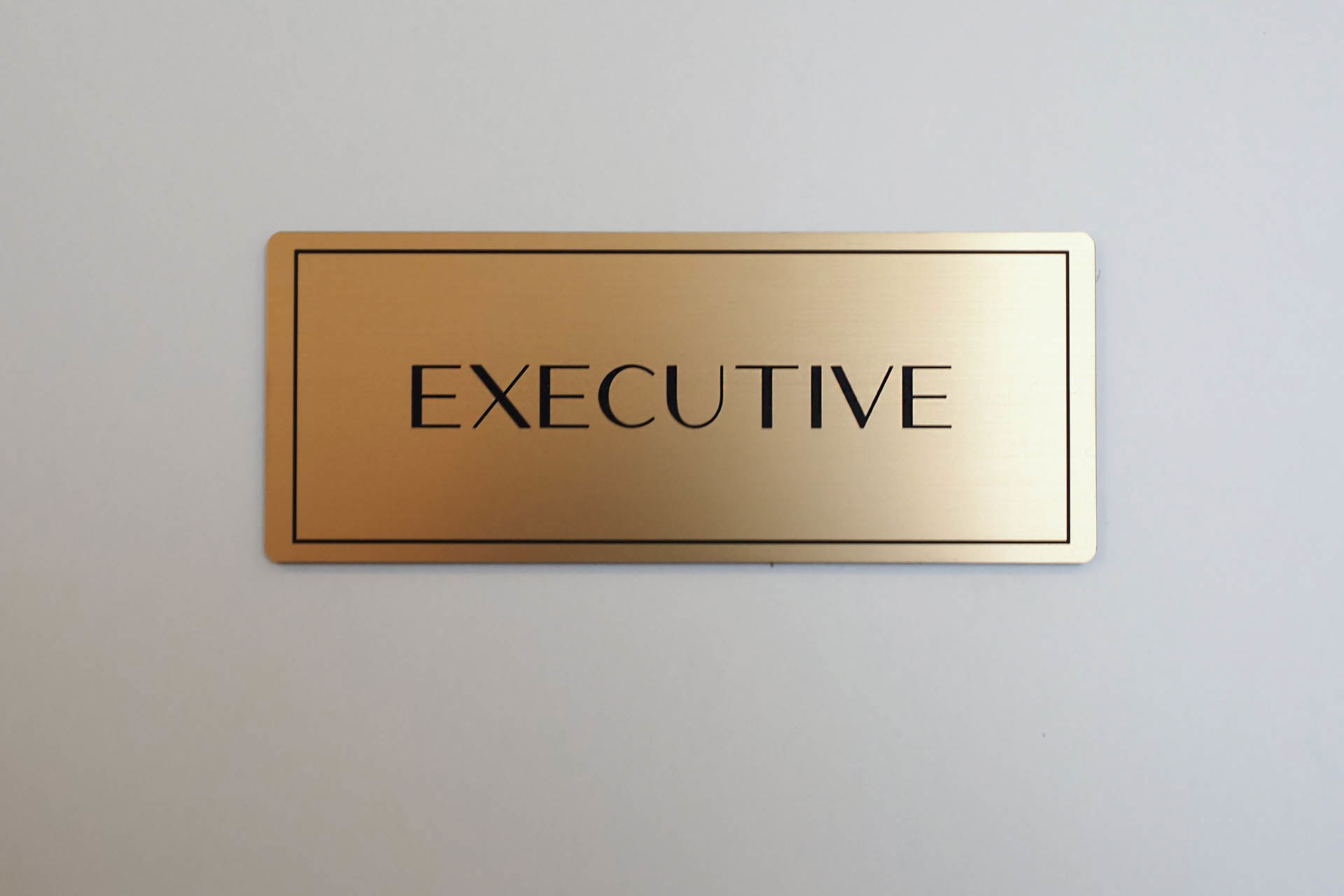 Luxury Executive 6