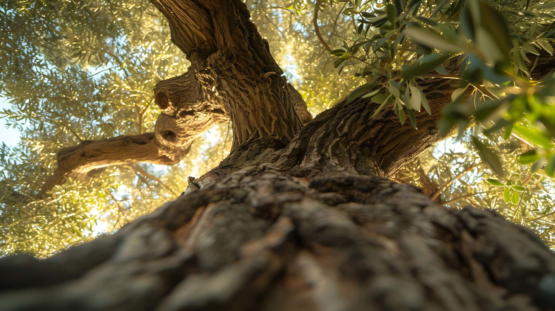 Surroundings 16