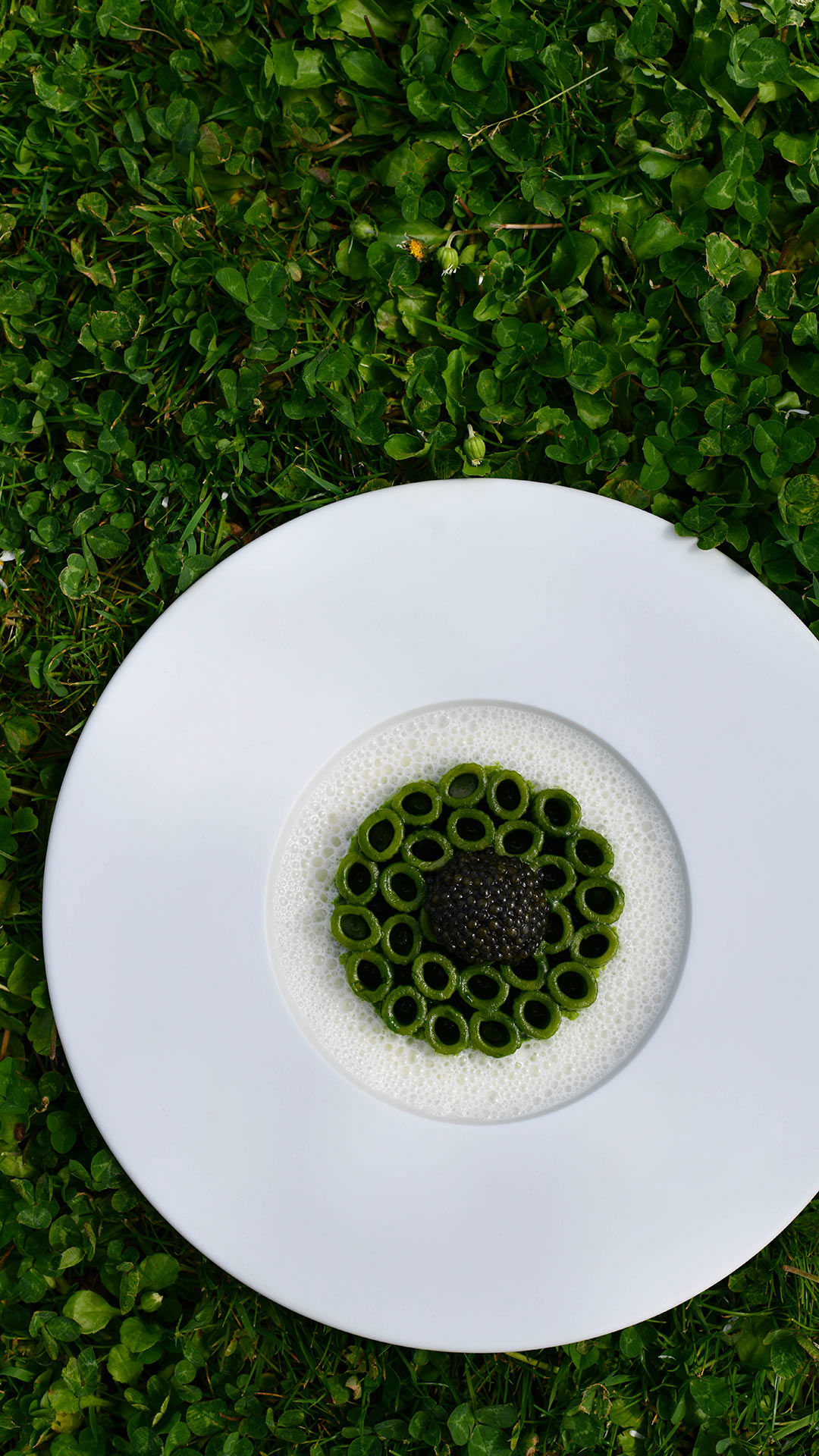 Piatti-verticali/vert-Ditali-pasta-with-nettle-delicate-feta-cheese-and-Caviar-Ditali-all-ortica-feta-delicata-e-Caviale.jpg