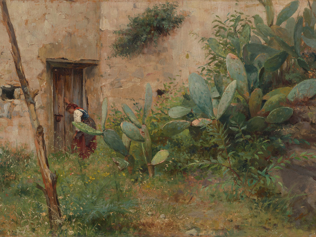 Garden with Prickly Pears 3