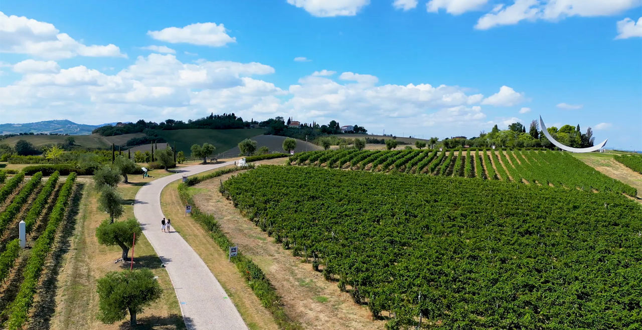 Tenuta Mara in Rimini