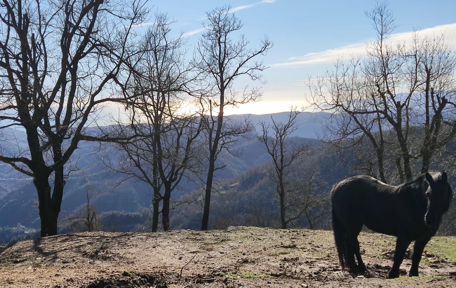 Alassio, un mare... di sport 8