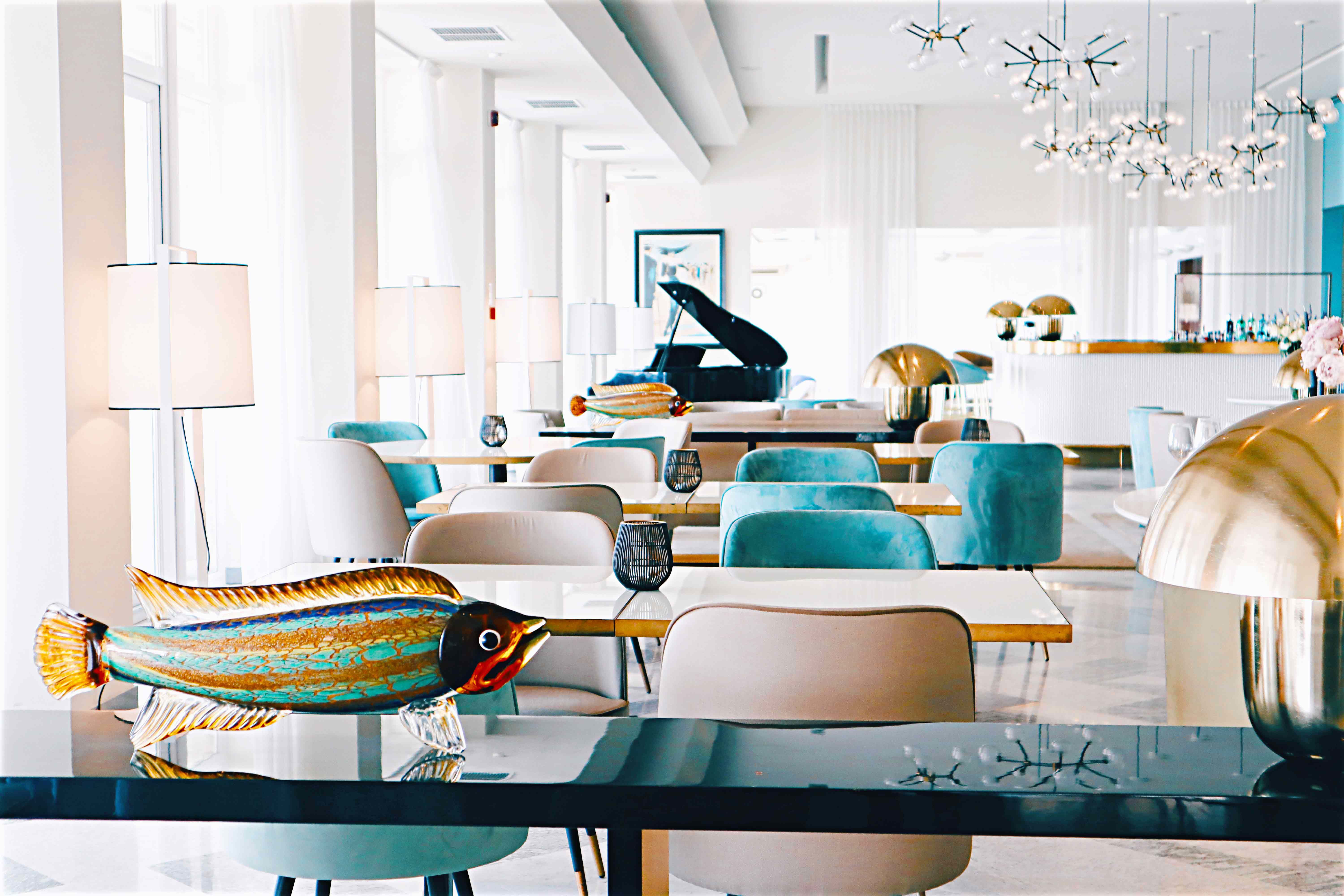 Expérience culinaire 8