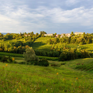 Планируйте ваше мероприятие 12