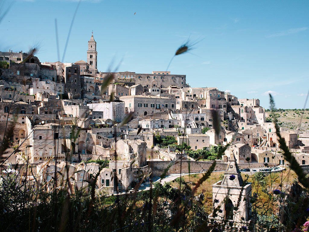 Die Landschaft um uns herum 2