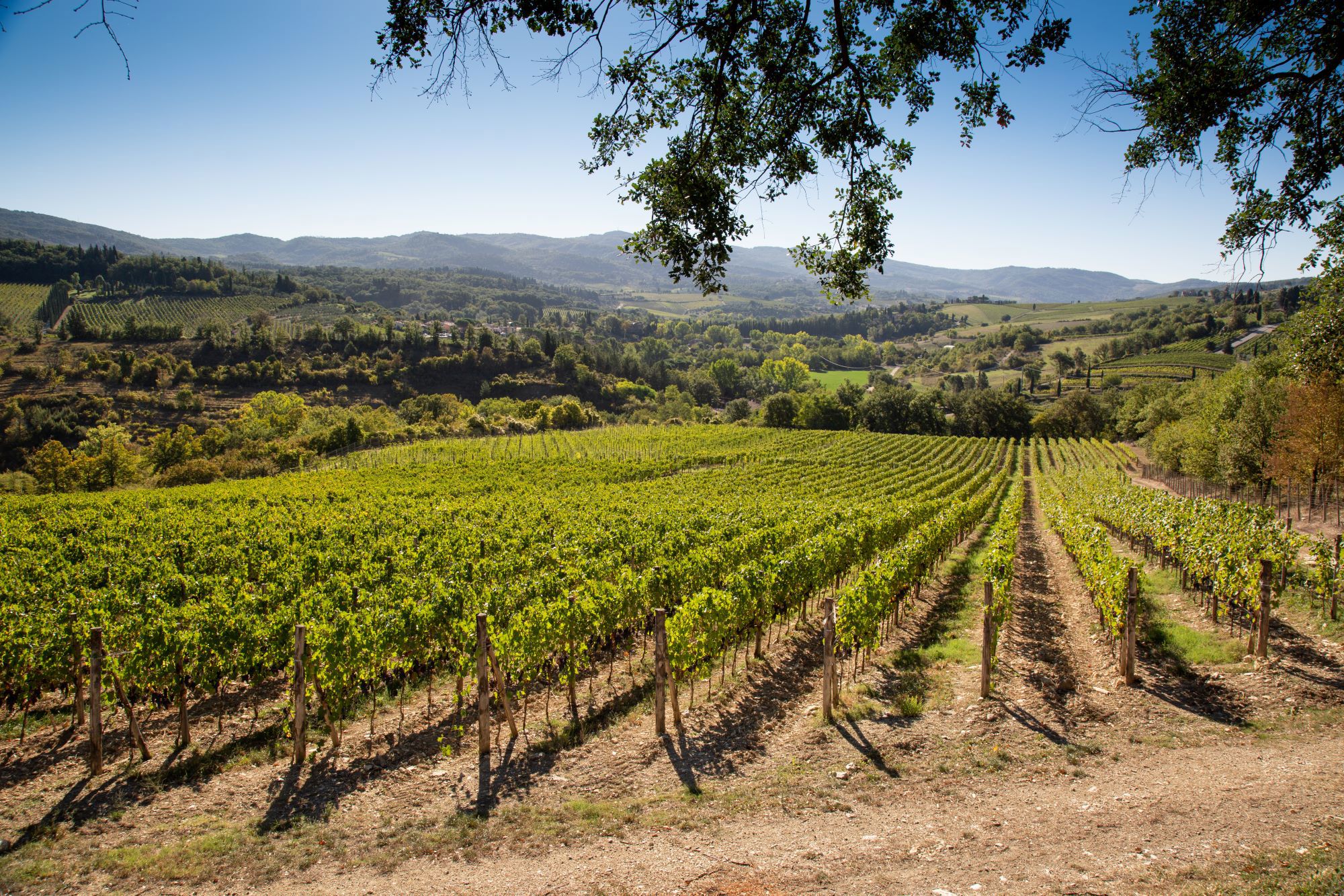 Castello Vicchiomaggio