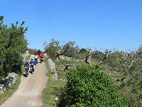 Excursions near Ostuni 4