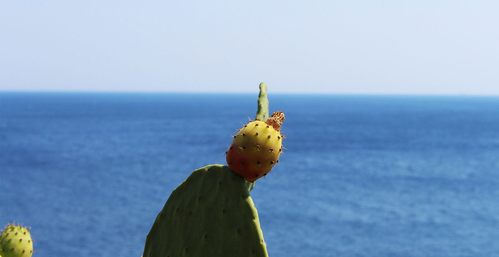 Resort per visitare Manduria e dintorni 5 Resort per visitare Manduria e dintorni 5