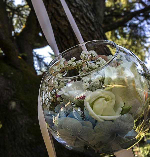 We are the frame of your Dreams 12 We are the frame of your Dreams 12