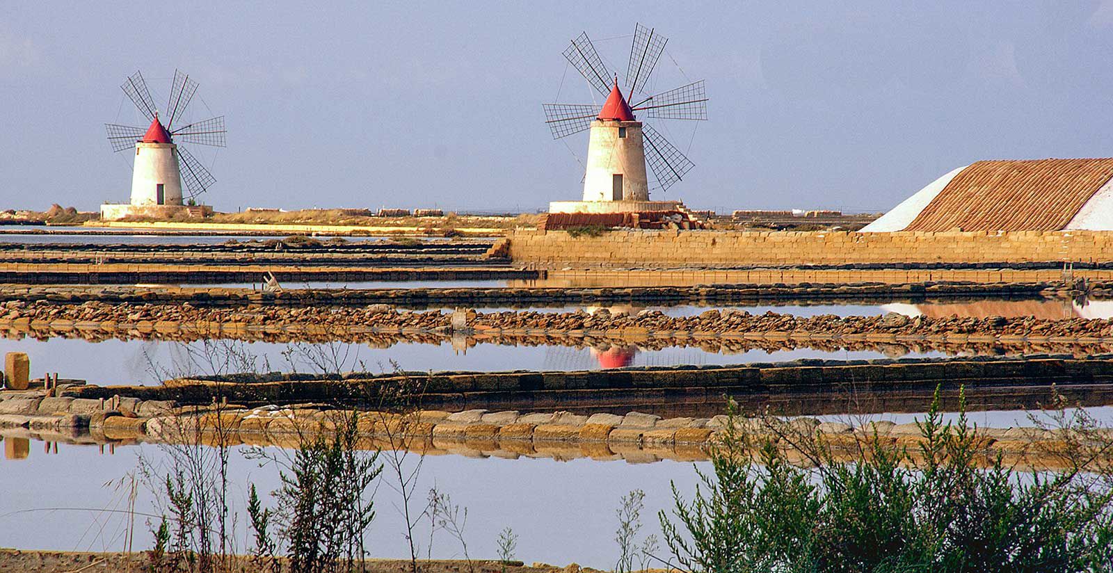 Trapani, Marsala and the Stagnone Nature Reserve 5
