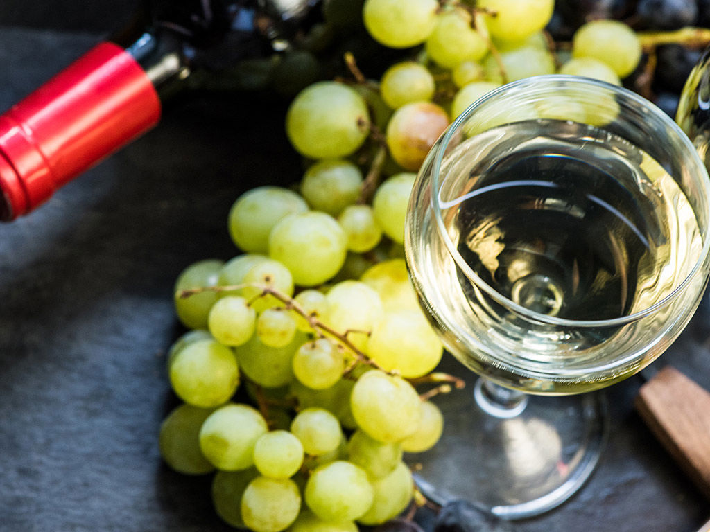 Главная 14 Главная 14