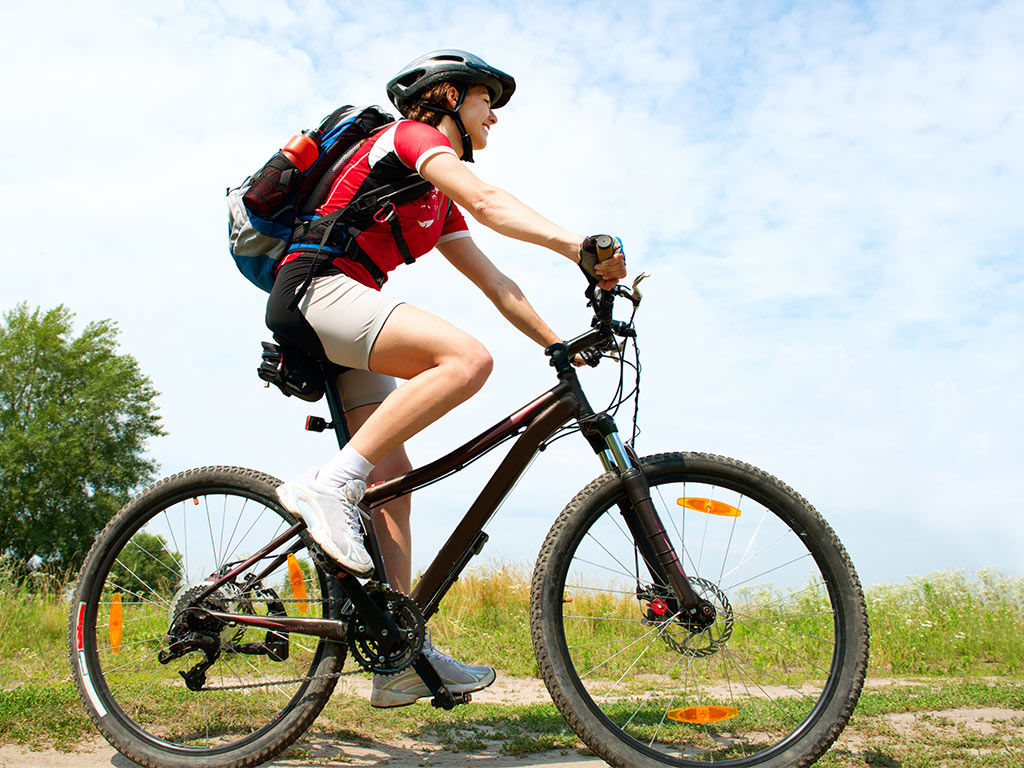 Главная 14 Главная 14