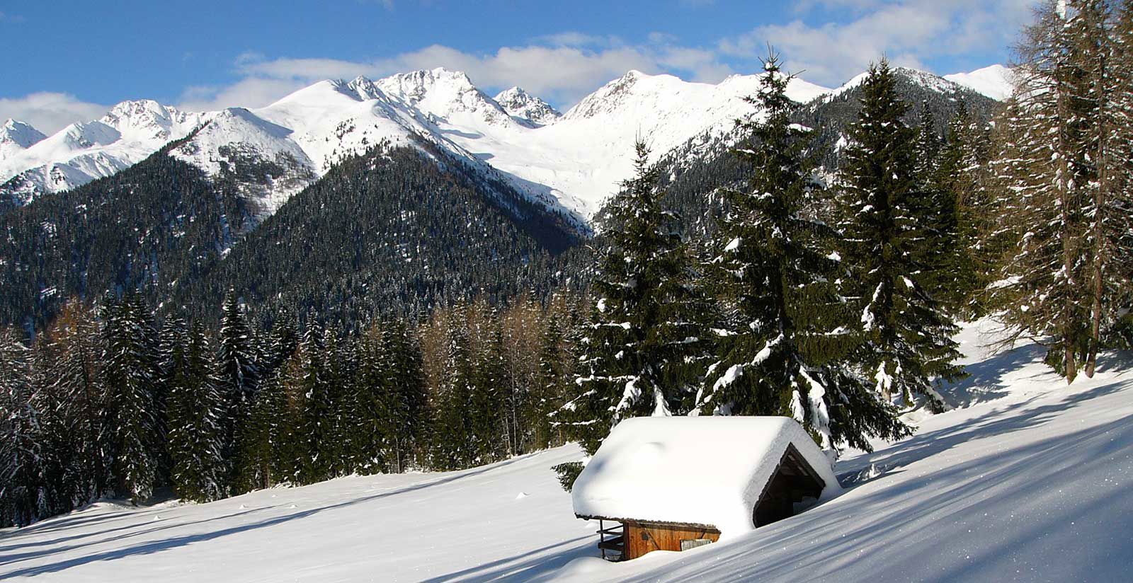 Vieni a ciaspolare in Val di Non 2