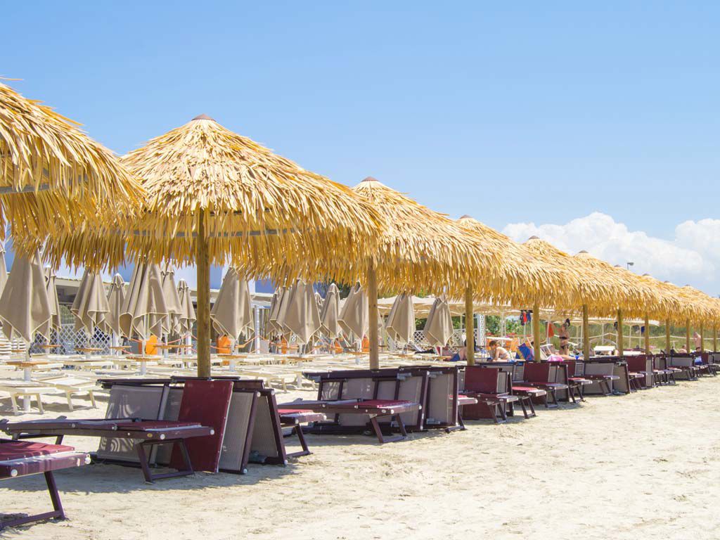 Who we are 6 Who we are 6