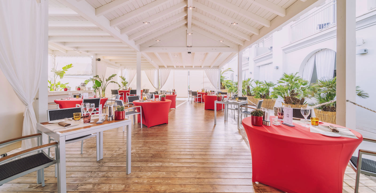 Bacchus Ristorante 12