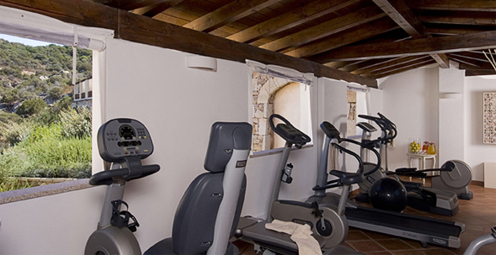 CPH Pevero Hotel Resort con palestra Technogym a P