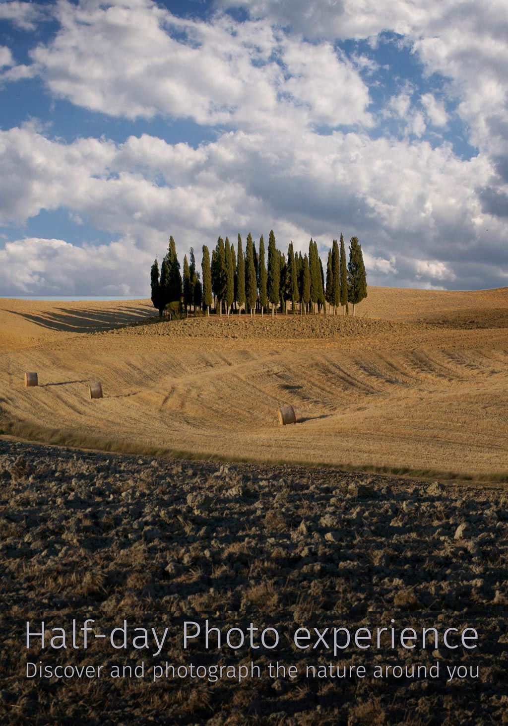 Attività nel Borgo 9 Attività nel Borgo 9