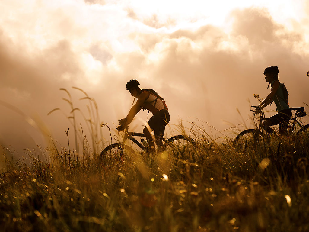 Services 12 Services 12