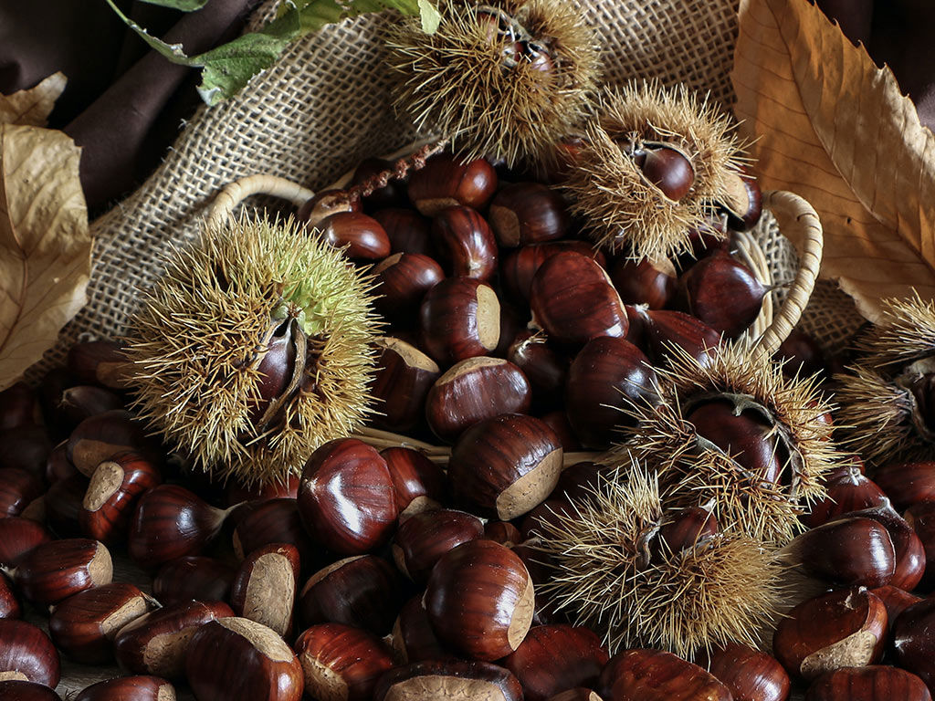 Wein und Gastronomie 6