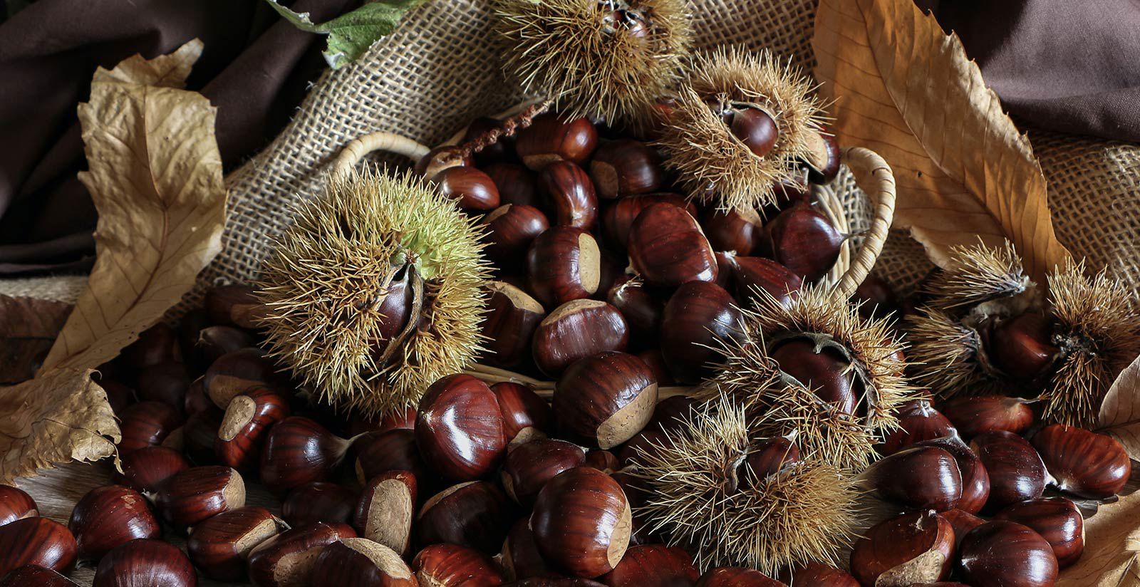 Wein und Gastronomie 5