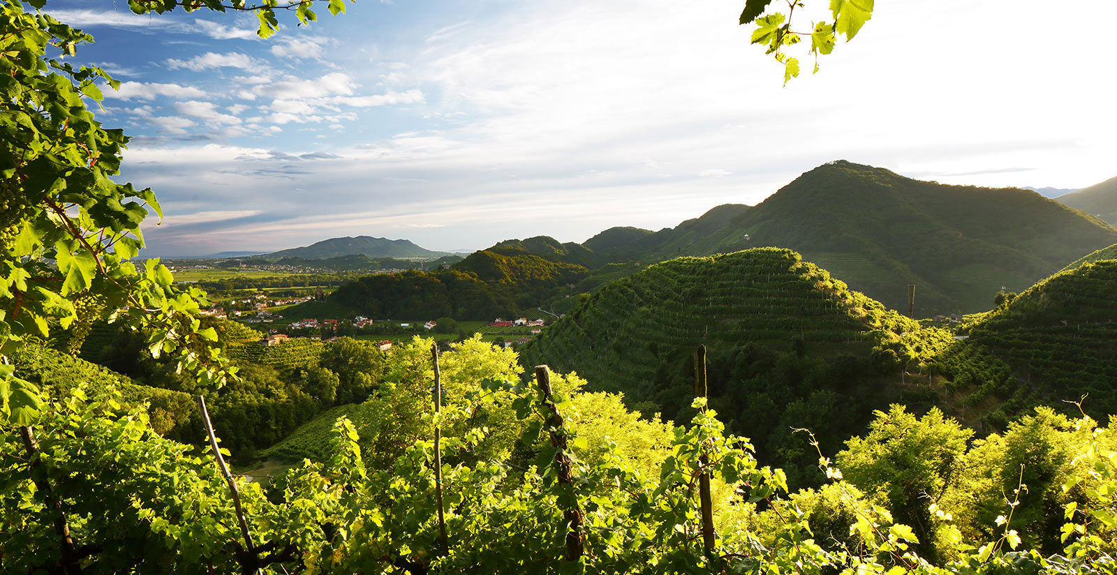 Unesco site - Le Colline del Prosecco di Conegliano e Valdobbiadene 10