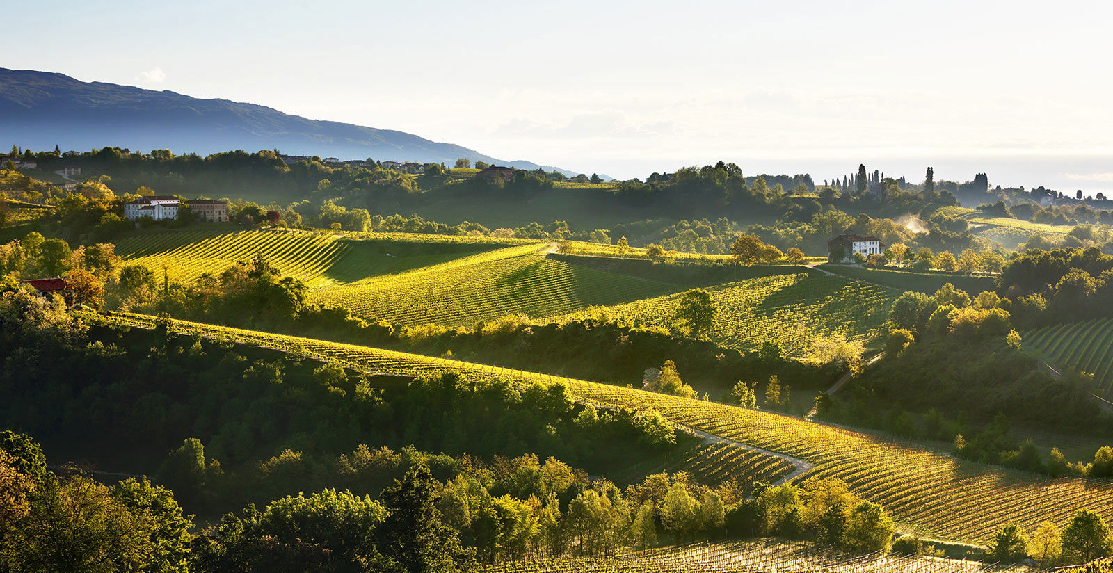 Unesco site - Le Colline del Prosecco di Conegliano e Valdobbiadene 9