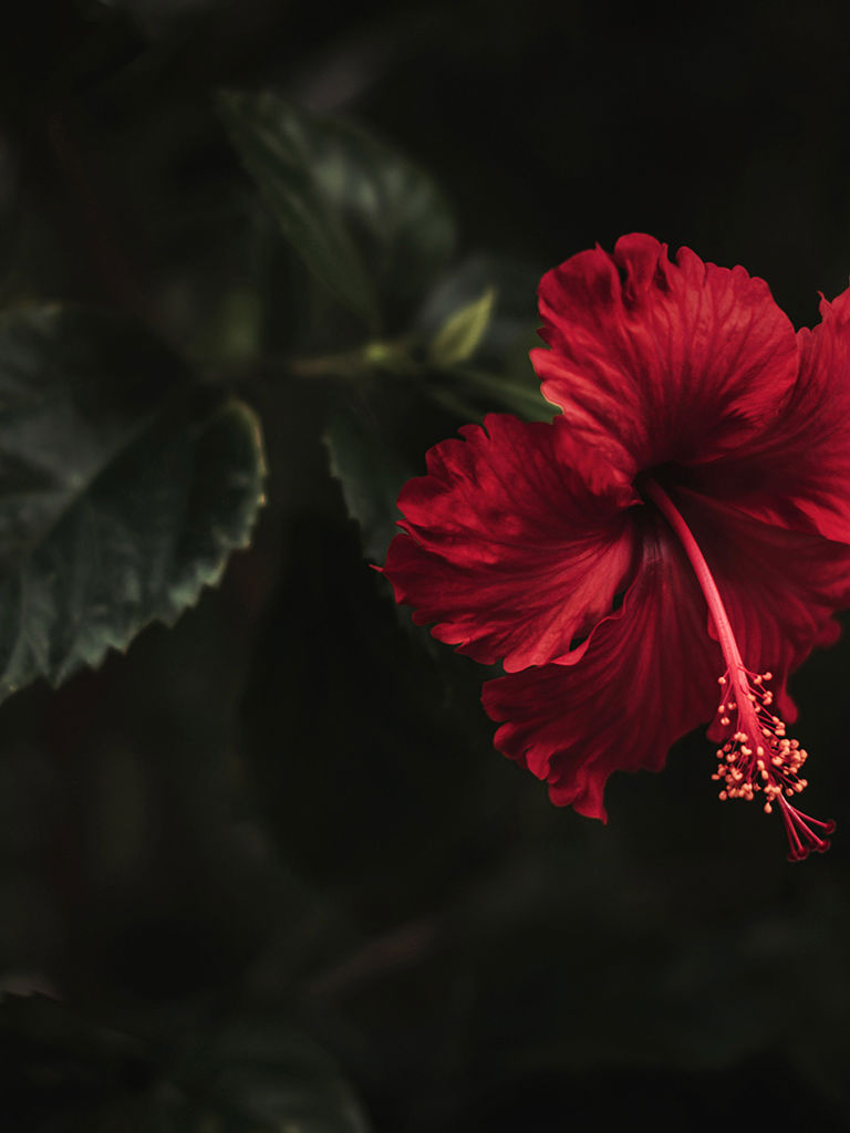 The Village Hotel Malta - Page d'accueil 11 The Village Hotel Malta - Page d'accueil 11