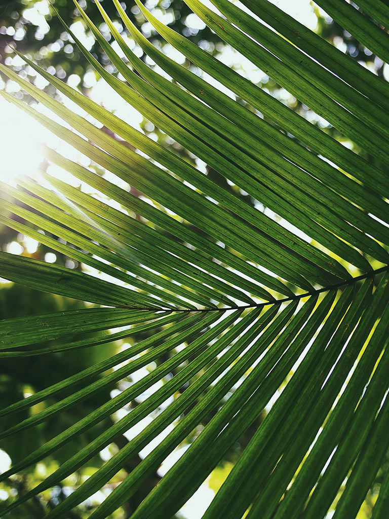 The Village Hotel Malta - Page d'accueil 14 The Village Hotel Malta - Page d'accueil 14