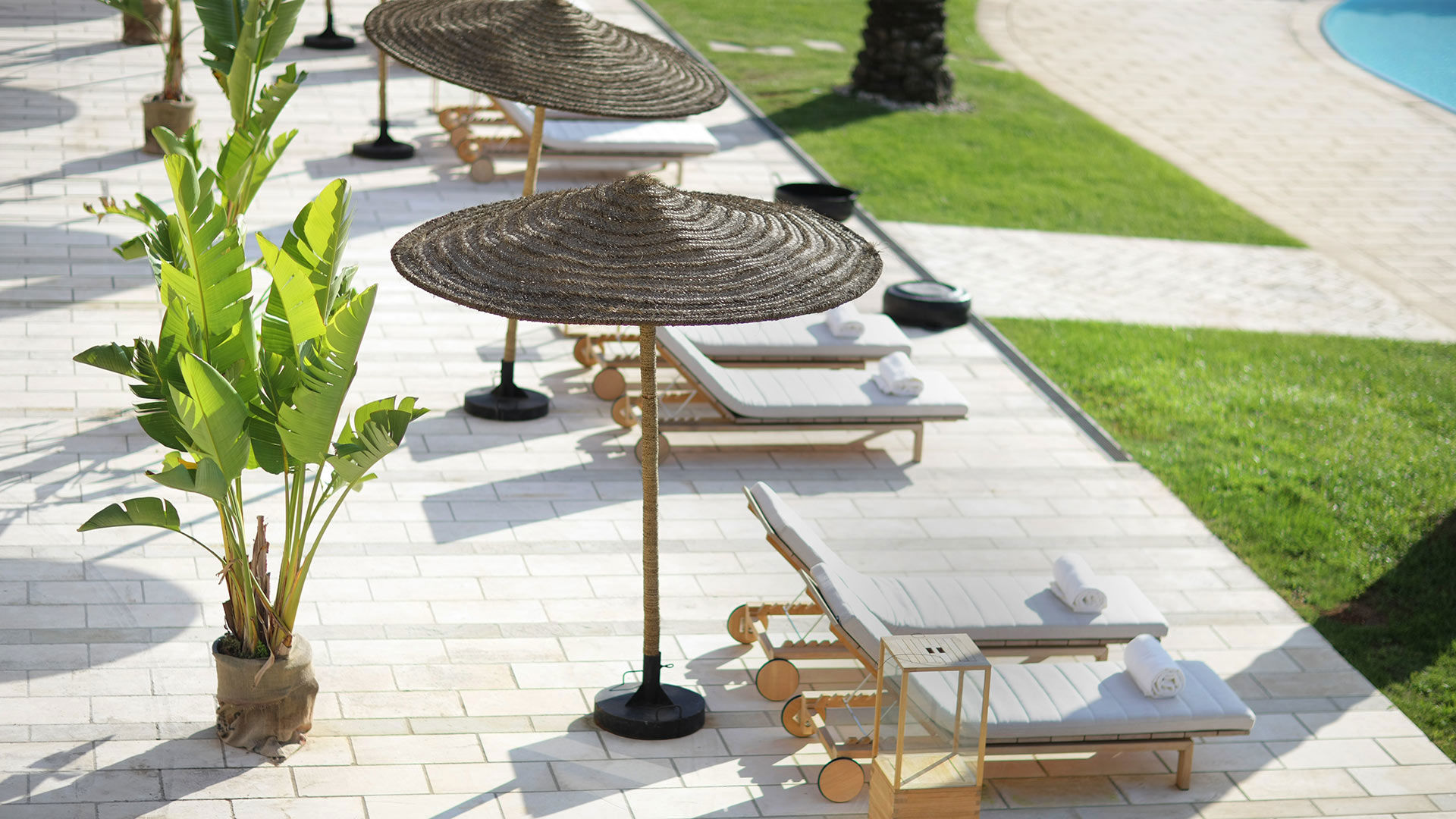 Masseria Antonio Augusto - About Us 4