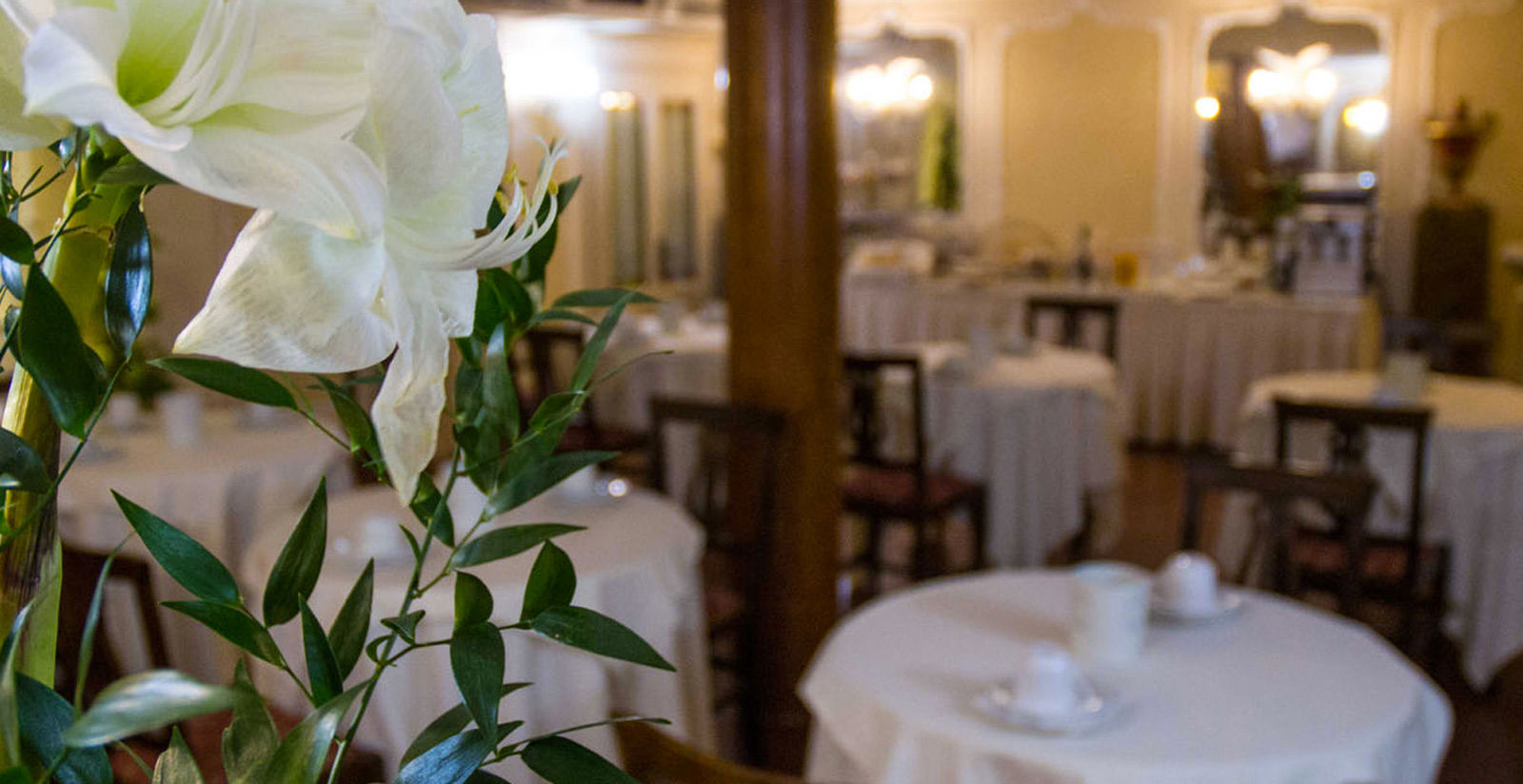 Hotel San Giorgio - Hotel 5