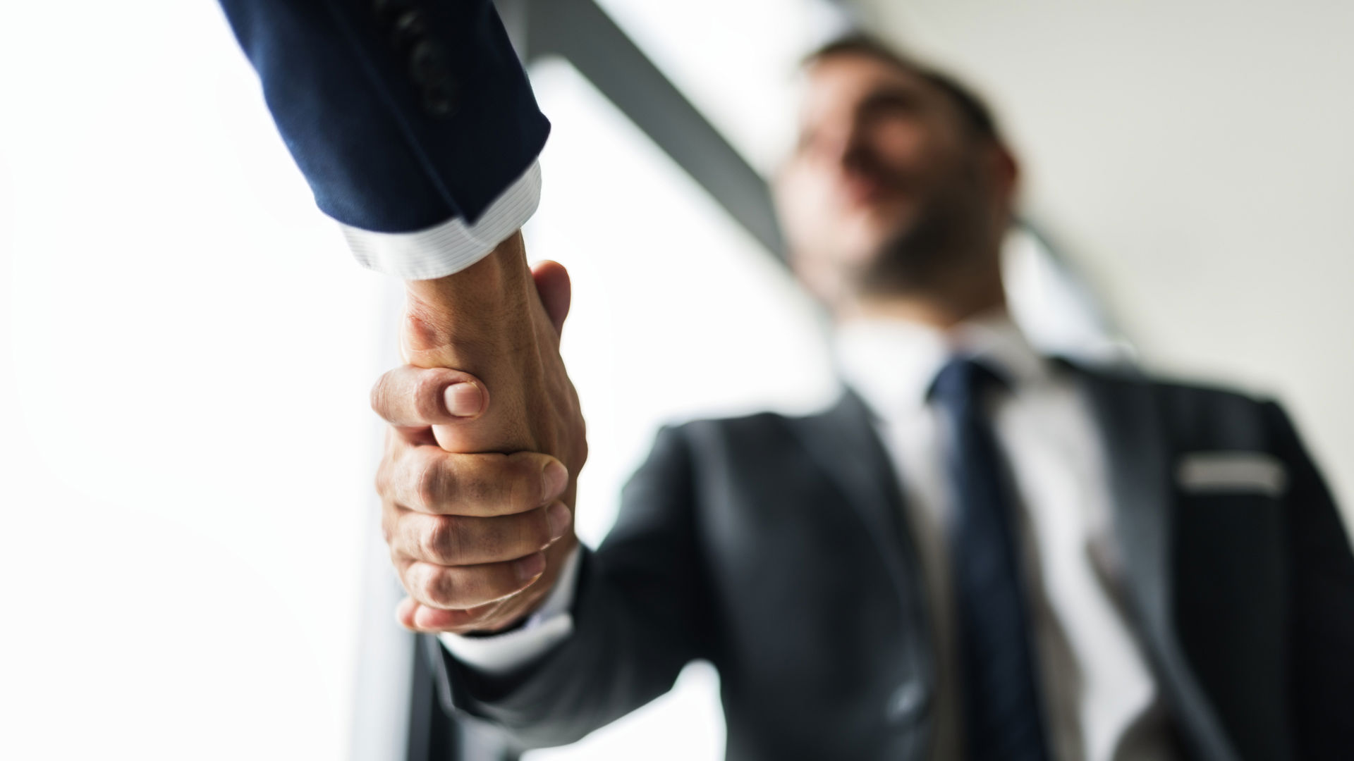 MATCH4 Business Matching: Networking and Business Opportunities in Bologna 49