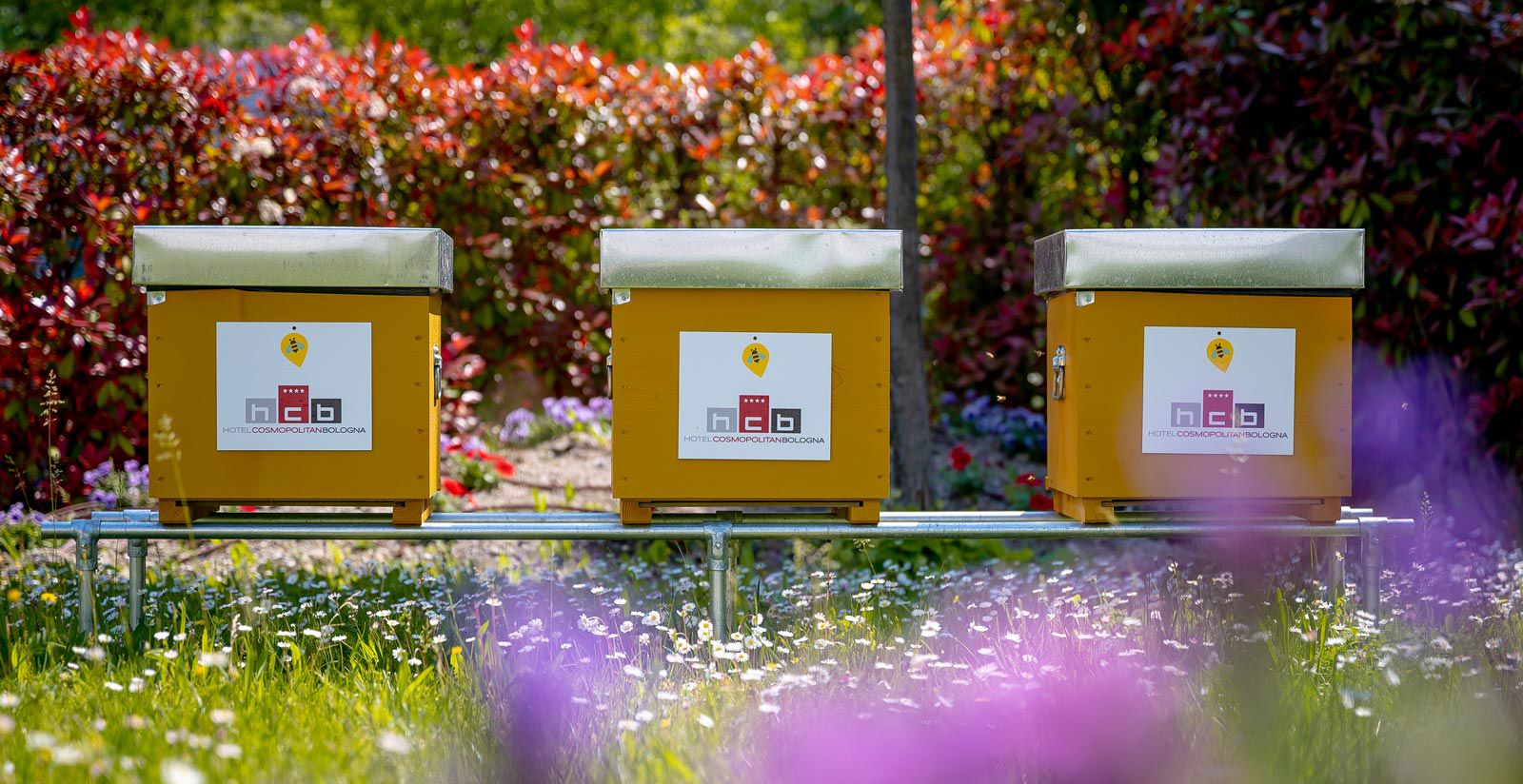 3 beehives in hotel 14