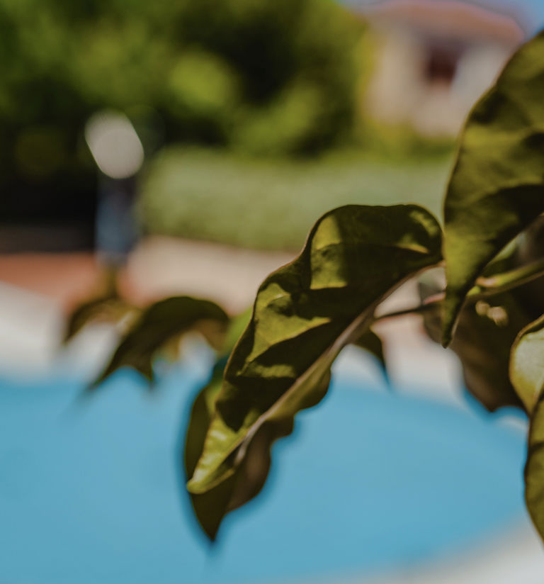 Two-room apartment 13