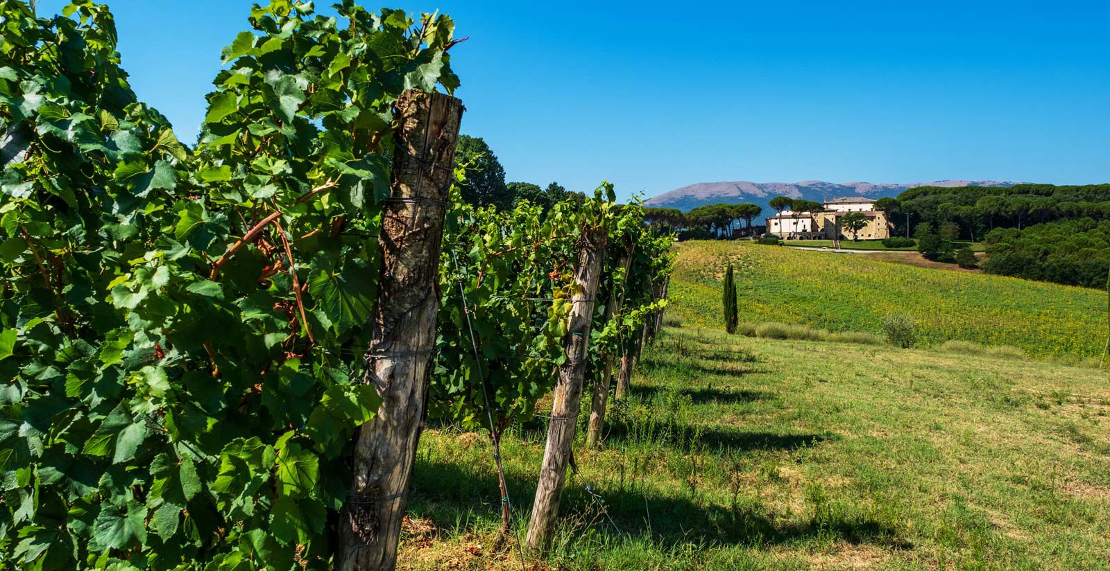 Tenuta con cantina vicino Perugia, Umbria 4