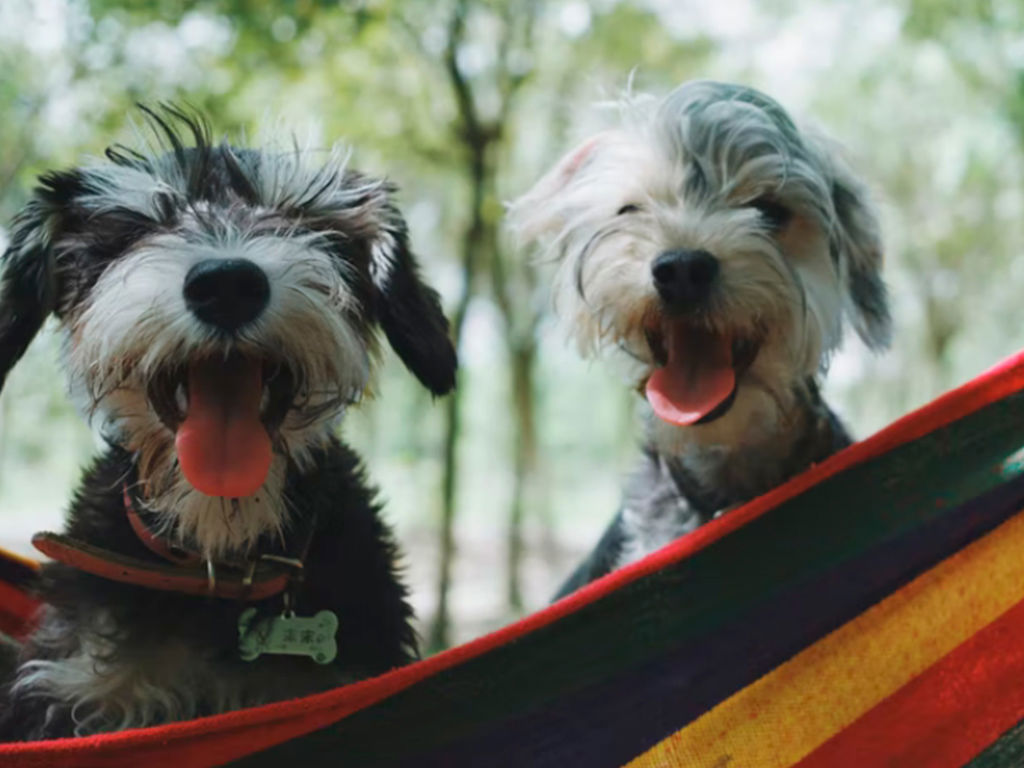 A tailor-made welcome 11 A tailor-made welcome 11