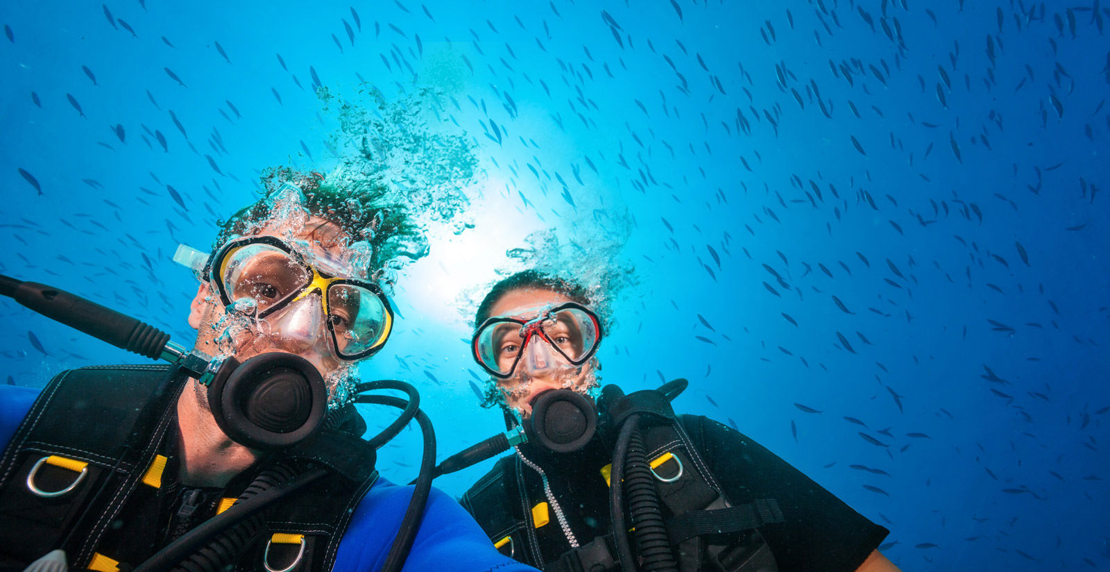 Attività 8 Attività 8