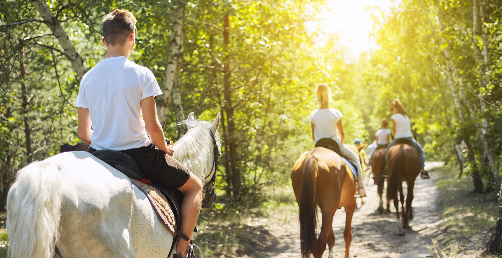 Attività 9 Attività 9