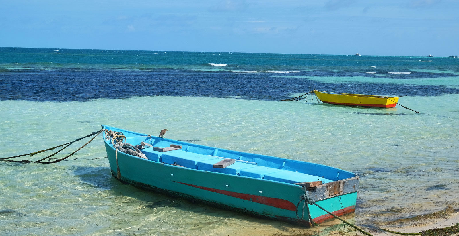 Experience the Island Life 6