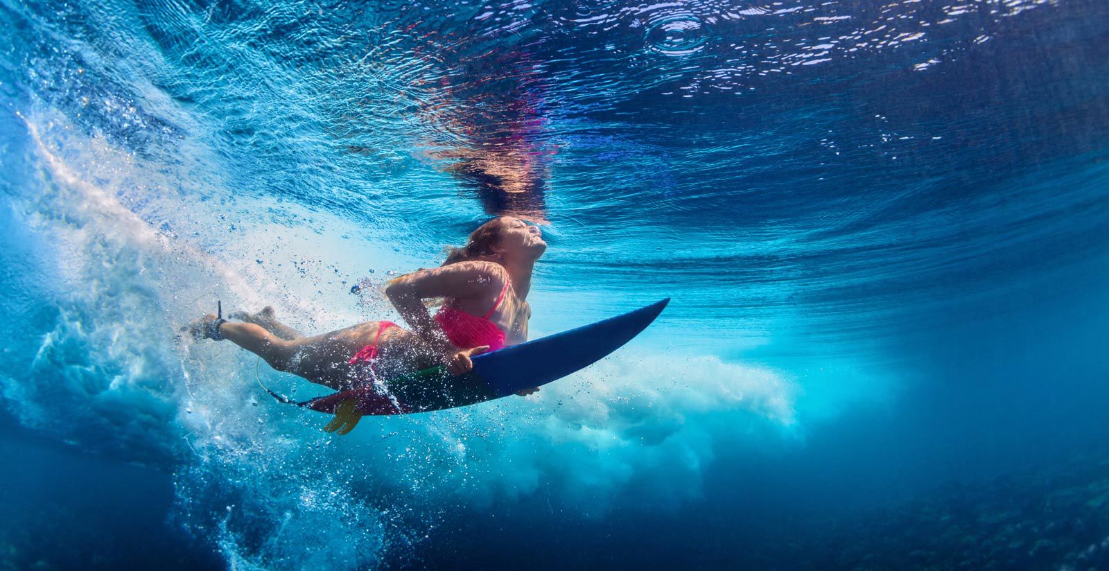 Facilities and Excursions 8