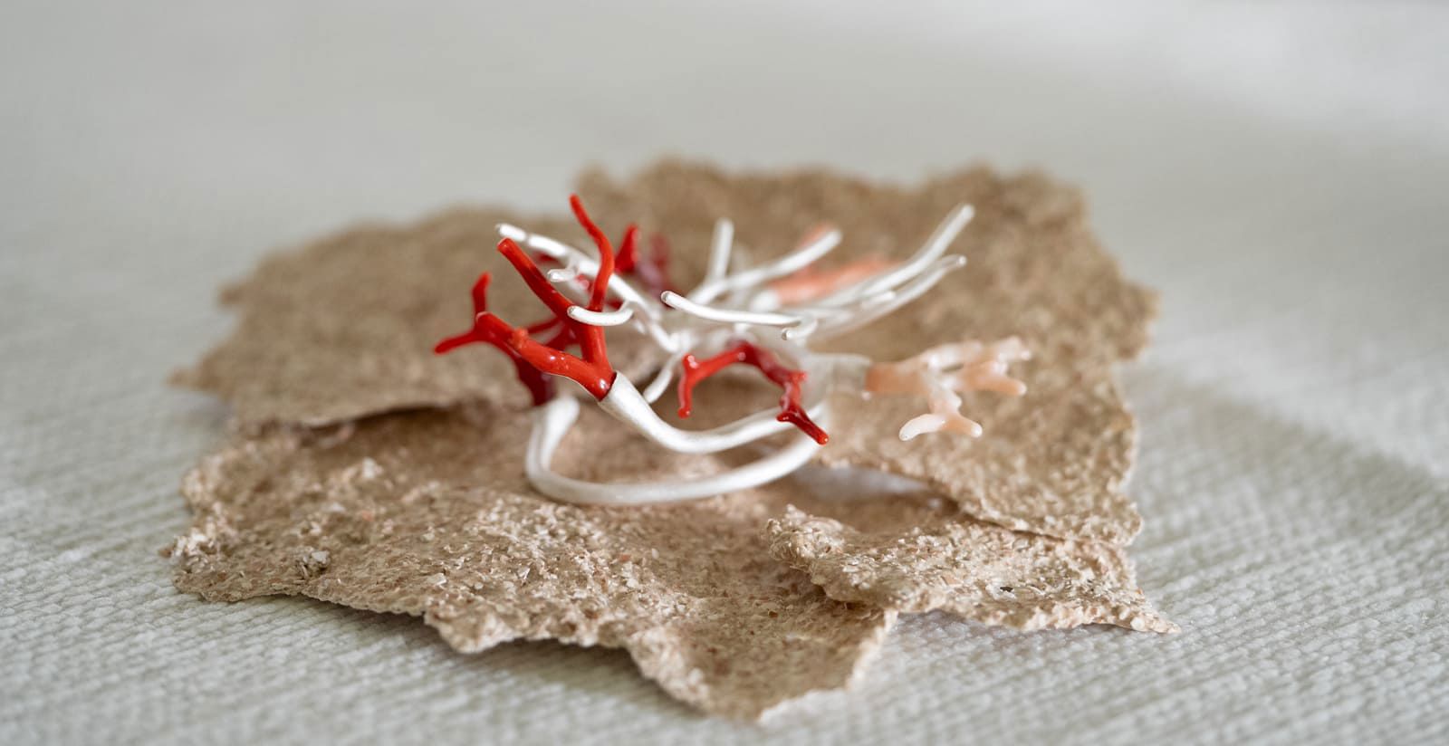 Talento, visione, bellezza: il nostro sostegno alla mostra di fine anno LAO 9