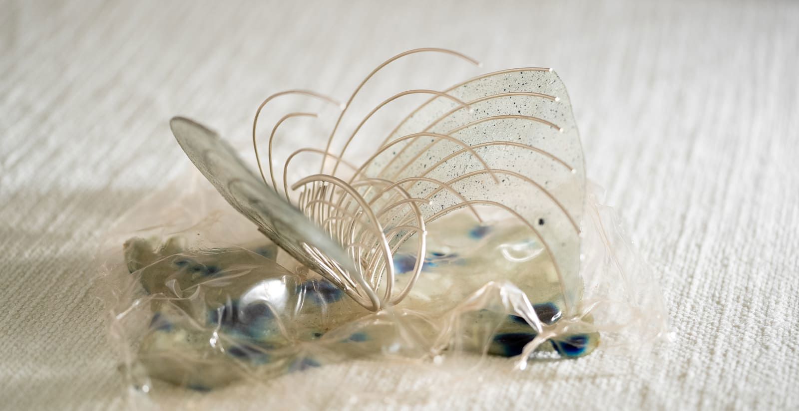 Talento, visione, bellezza: il nostro sostegno alla mostra di fine anno LAO 8