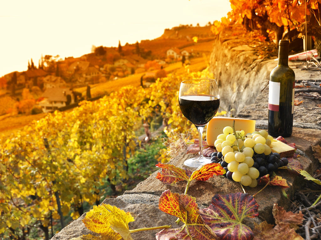 Wein- und Gastronomietouren im Chianti Wein- und Gastronomietouren im Chianti