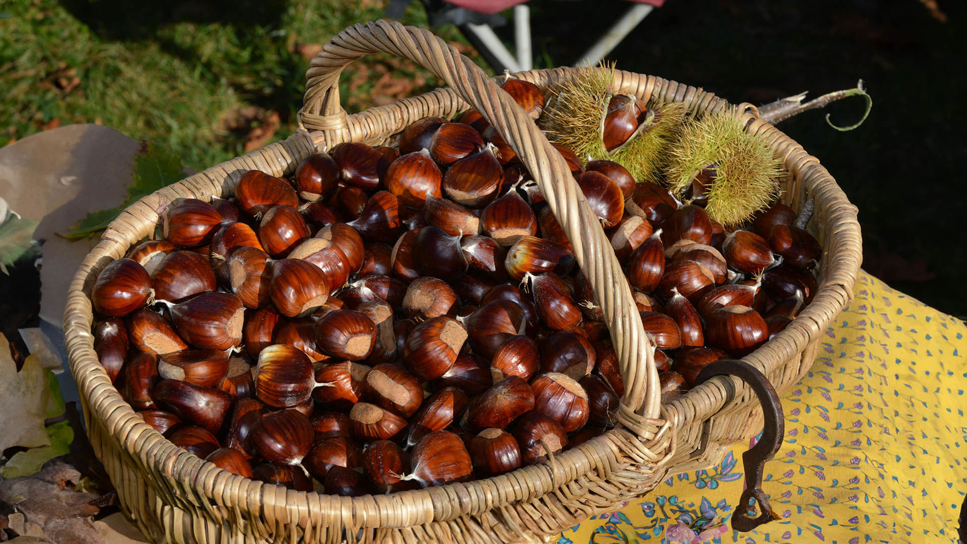 FH55 Hotels - Tour enogastronomici in Toscana: cosa fare in autunno nelle colline toscane 1